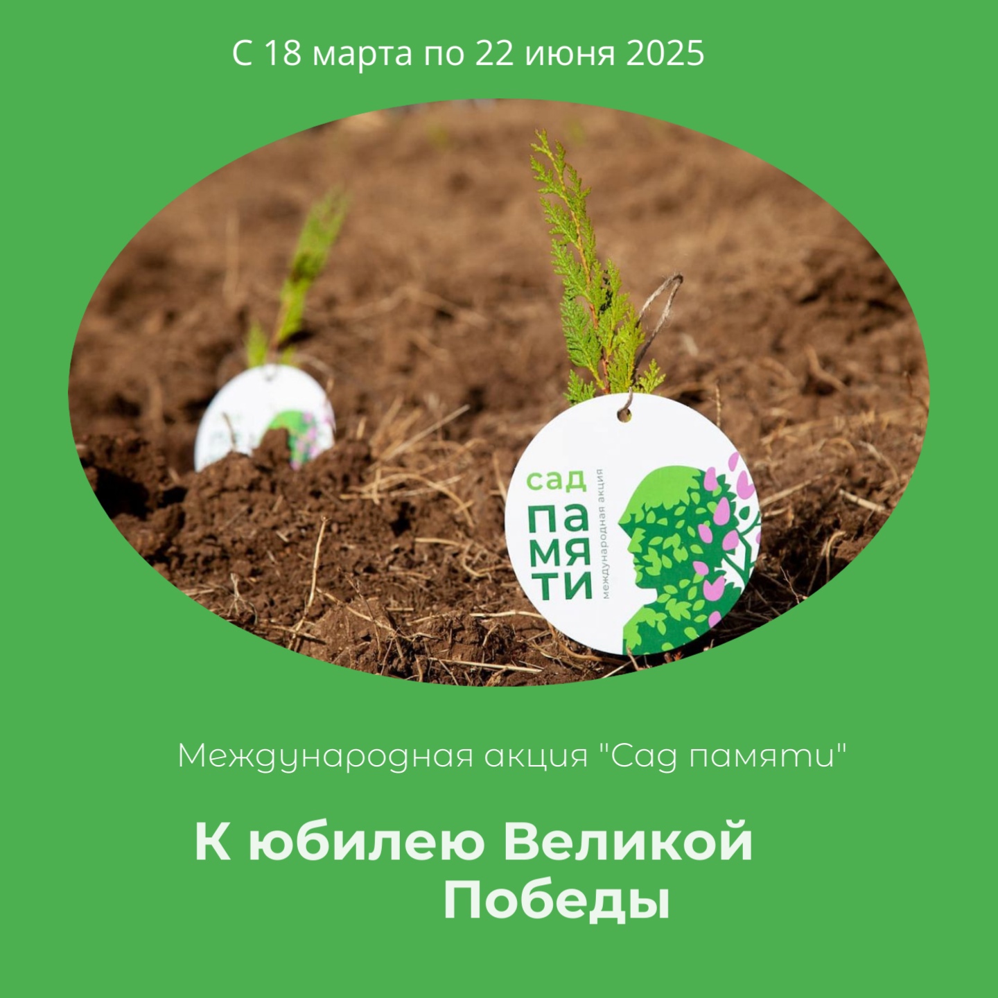 Эколого-патриотическая акция "Сад памяти"