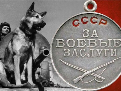 Невидимый фронт: собаки-герои на фронтах Великой Отечественной войны